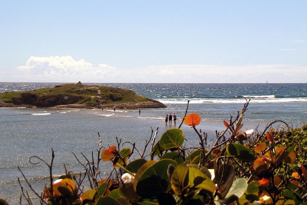 cruise14 (833).jpg